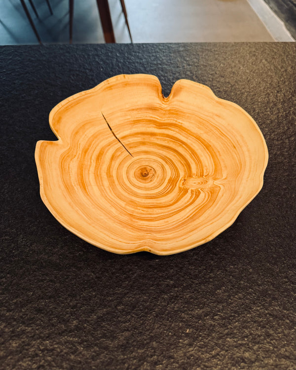 Schale • Mammutbaum, ø 26 cm, Höhe 5,5 cm