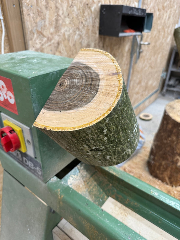 Schale • Wilder Nussbaum, ø 14 cm, Höhe 7 cm