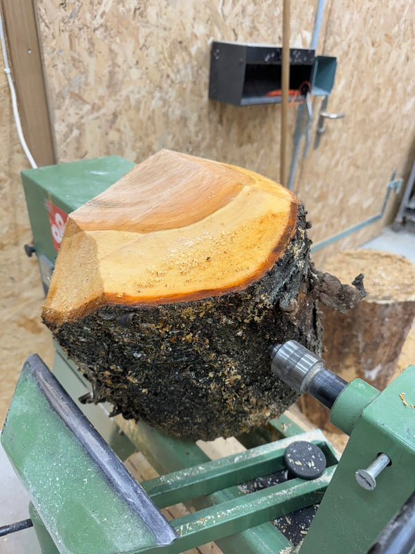 Schale • Kirschbaum, ø 29.5 cm, Höhe 12 cm