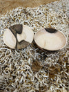 Schale • Wilder Nussbaum, ø 20 cm, Höhe 2,5 cm