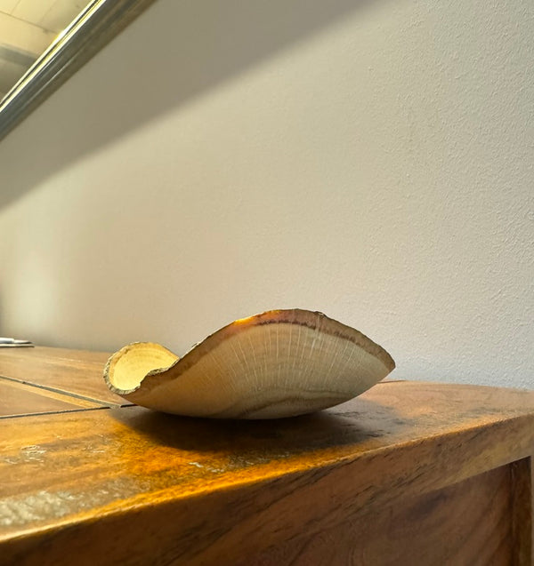 Schale • Waldfund, ø 15 cm, Höhe 3,5 cm