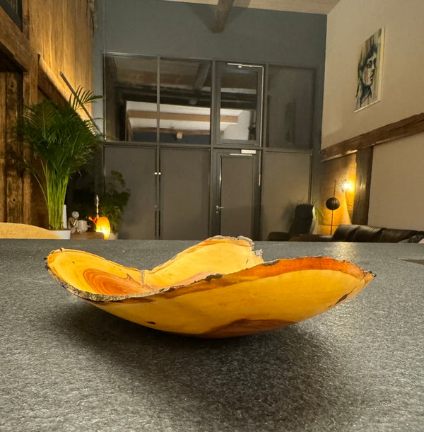 Schale • Gravensteiner Apfel, ø 26 cm, Höhe 6 cm