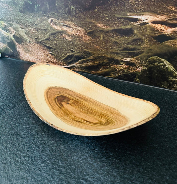 Schale • Wilder Nussbaum, ø 30 cm, Höhe 6,5 cm