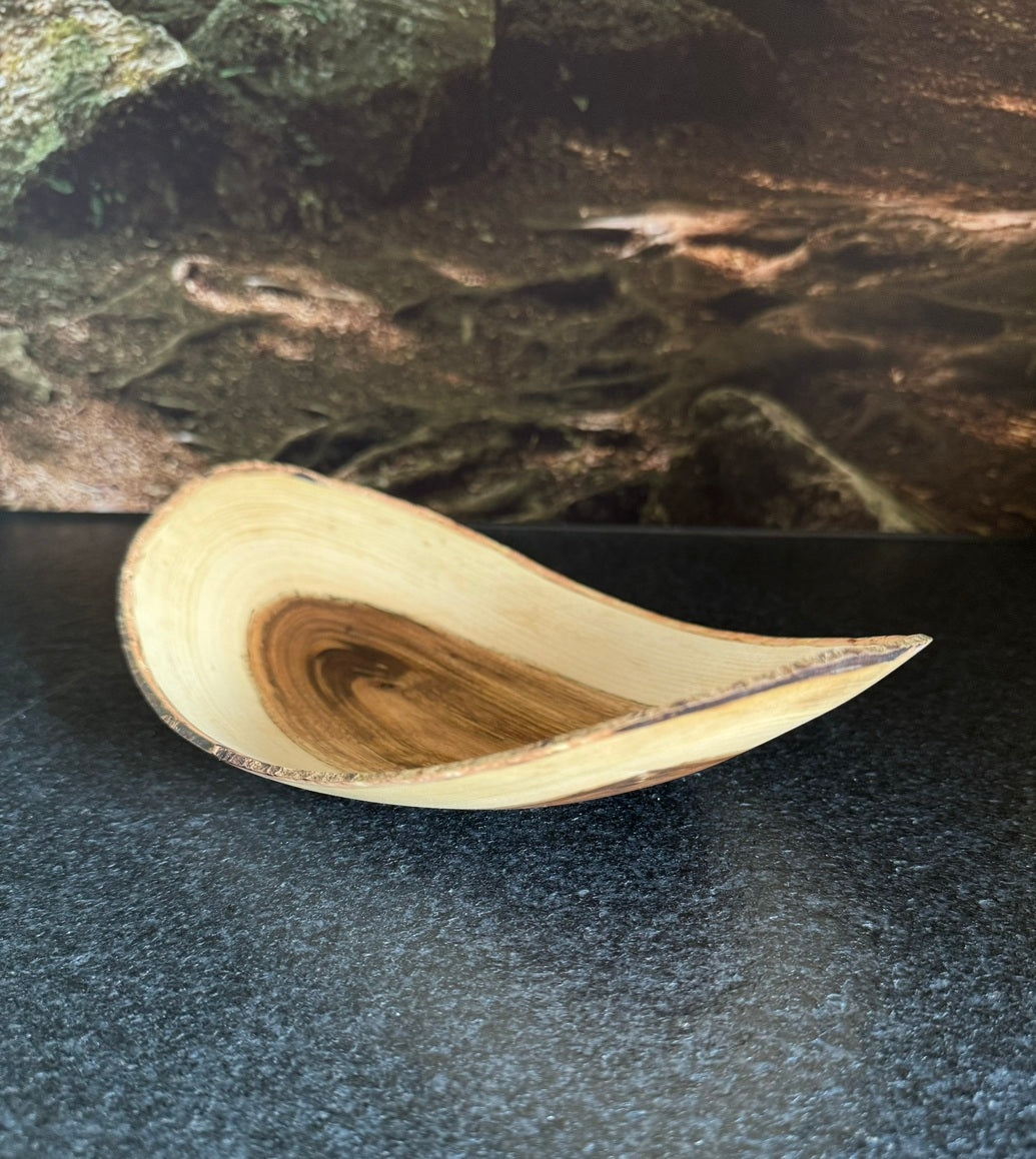 Schale • Wilder Nussbaum, ø 30 cm, Höhe 6,5 cm