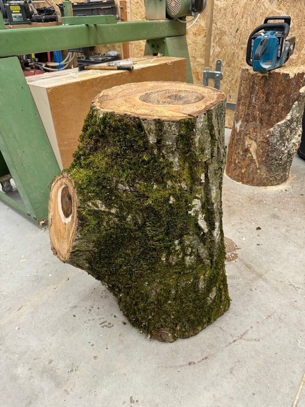 Schale • Walnuss, ø 37,5 cm, Höhe 17,5 cm