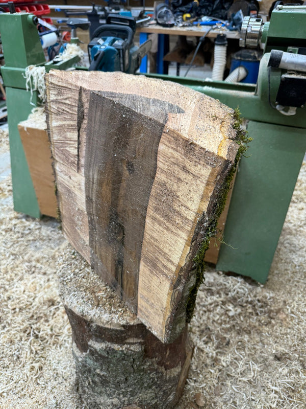 Schale • Walnuss, ø 37,5 cm, Höhe 17,5 cm
