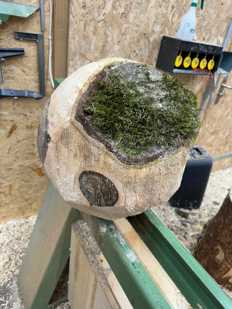 Schale • Walnuss, ø 37,5 cm, Höhe 17,5 cm