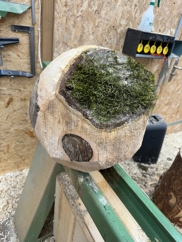 Schale • Walnuss, ø 37,5 cm, Höhe 17,5 cm