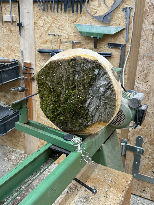 Schale • Walnuss, ø 38,5 cm, Höhe 8 cm