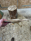 Schale • Walnuss, ø 38,5 cm, Höhe 8 cm