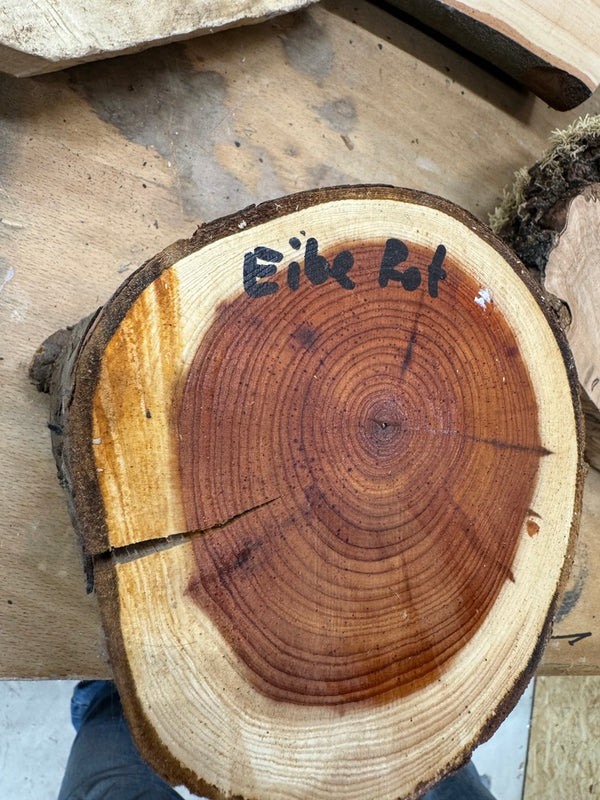 Schale • Rote Eibe, ø 11,5 cm, H 6 cm