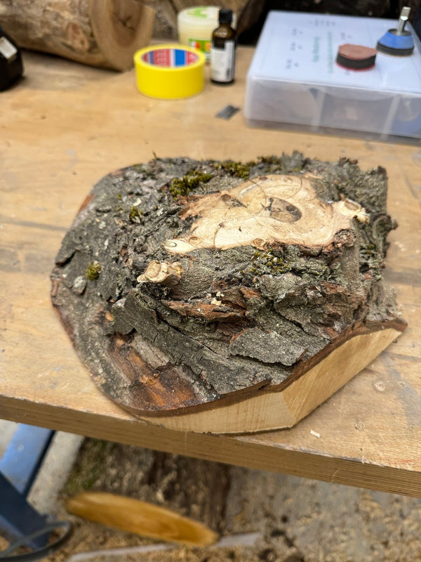 Schale • Ahorn Wurzelstock, ø 20 cm, H 5,5 cm