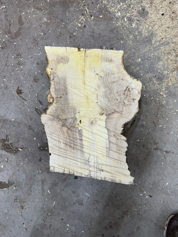 Schale • Orangenholz, ø 23 cm, H 7,5 cm