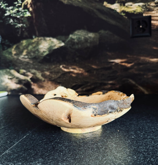 Schale • Orangenholz, ø 23 cm, H 7,5 cm