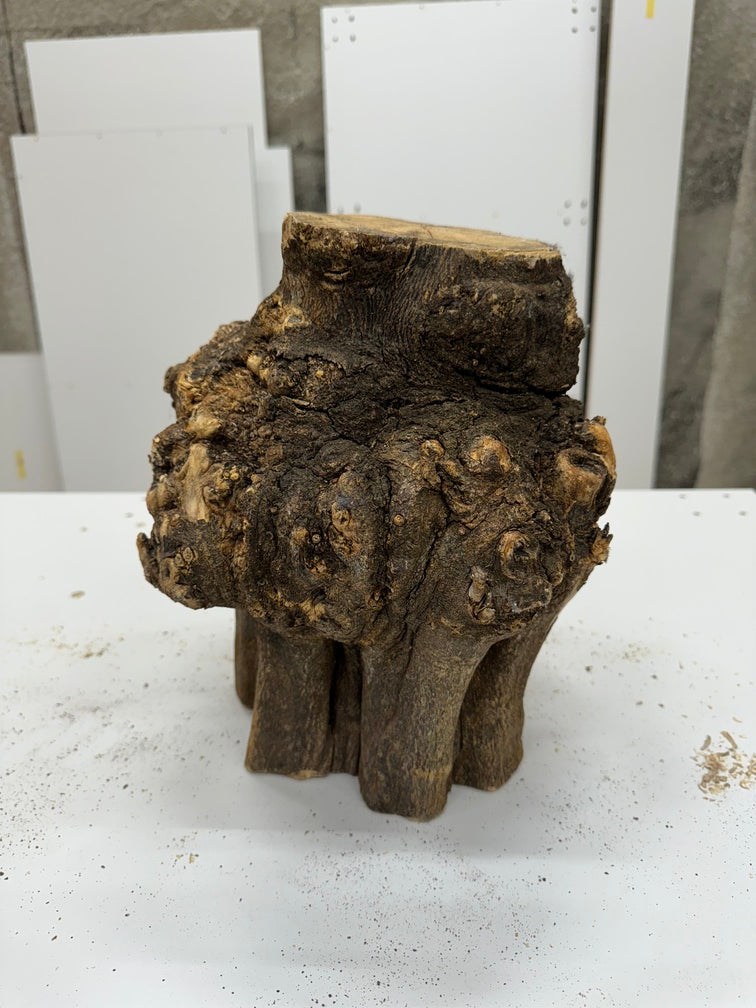 Schale • Orangenholz, ø 20 cm, H 9 cm