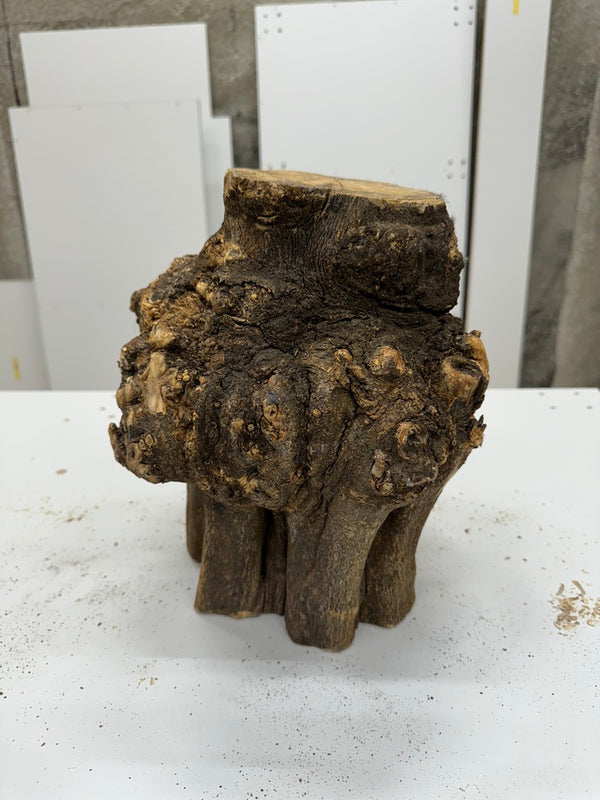 Schale • Orangenholz, ø 20 cm, H 9 cm