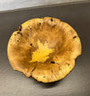 Schale • Orangenholz, ø 20 cm, H 9 cm