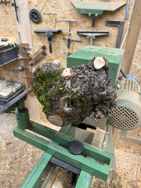 Eiche trifft Kastanie, ø 15 cm
