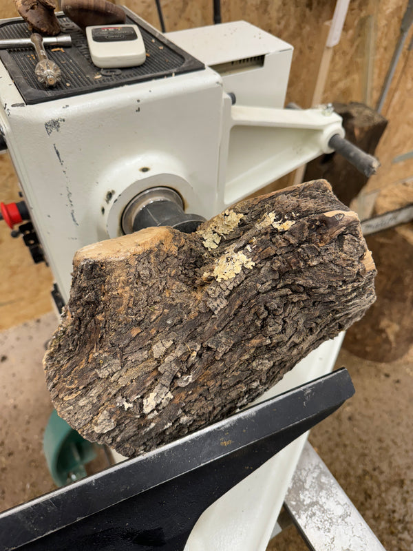 Schale • Olivenholz, ø 23 cm, H 14 cm