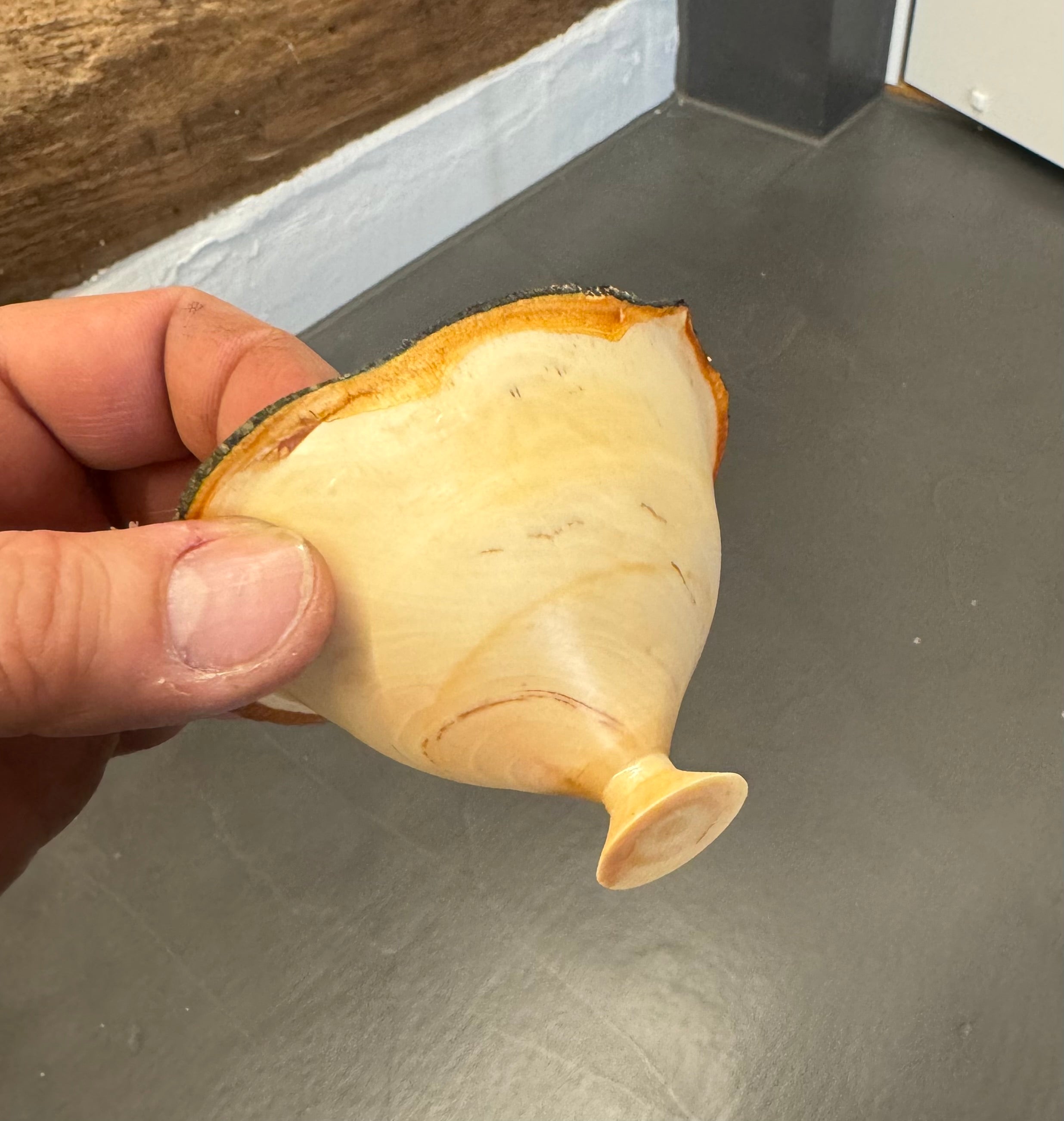 testprodukt
