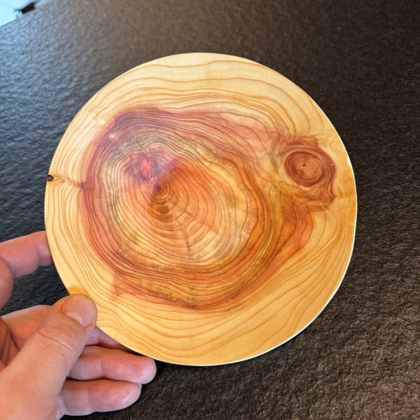 Schale • Zypresse, ø 16,5 cm, Höhe 4,5 cm