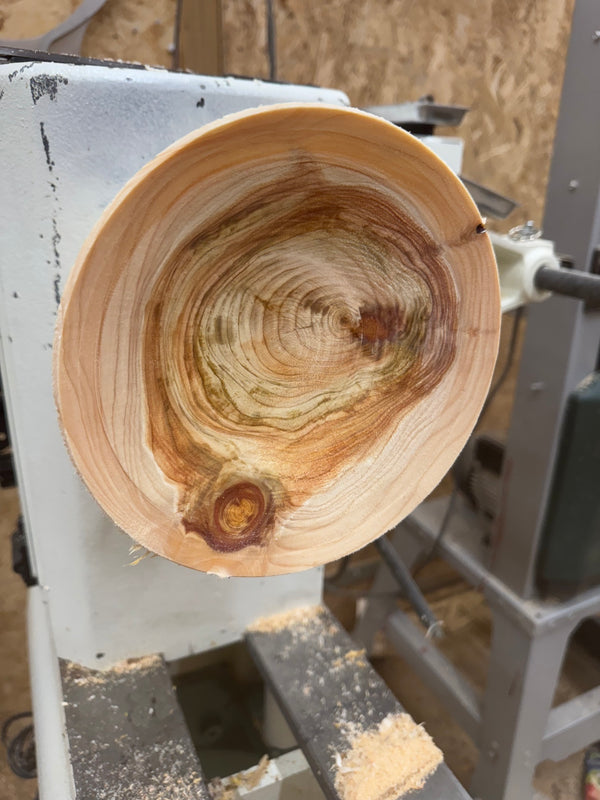 Schale • Zypresse, ø 16,5 cm, Höhe 4,5 cm