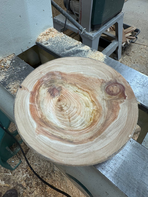 Schale • Zypresse, ø 16,5 cm, Höhe 4,5 cm