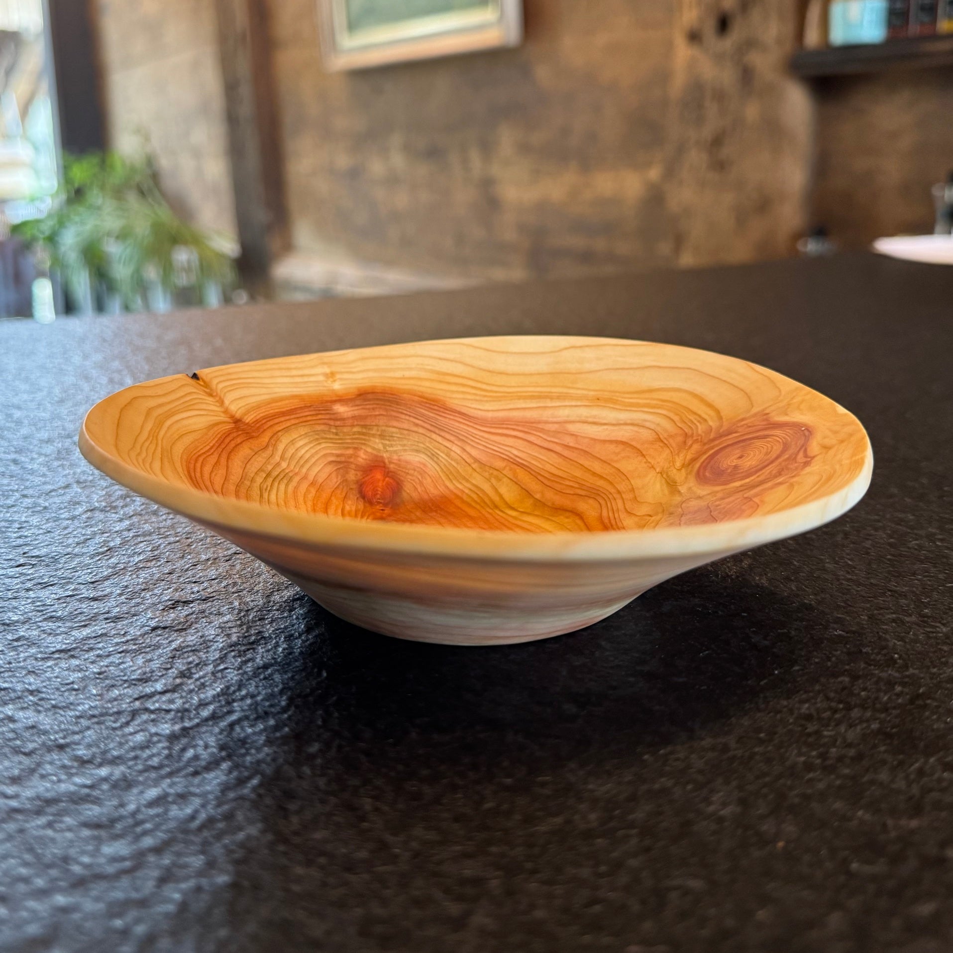 Schale • Zypresse, ø 16,5 cm, Höhe 4,5 cm
