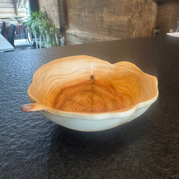 Schale • Zypresse, ø 19 cm, Höhe 6 cm