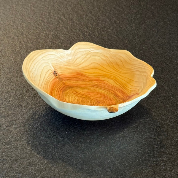 Schale • Zypresse, ø 19 cm, Höhe 6 cm
