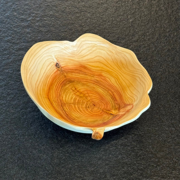 Schale • Zypresse, ø 19 cm, Höhe 6 cm