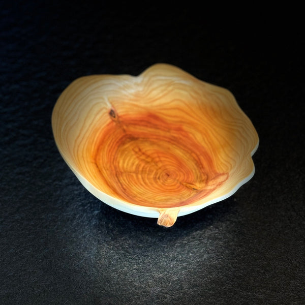 Schale • Zypresse, ø 19 cm, Höhe 6 cm