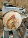 Schale • Zypresse, ø 19 cm, Höhe 6 cm