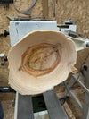 Schale • Zypresse, ø 19 cm, Höhe 6 cm