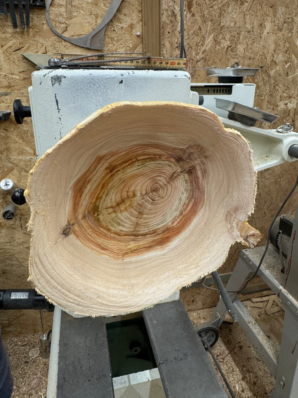 Schale • Zypresse, ø 19 cm, Höhe 6 cm