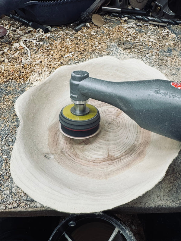 Schale • Zypresse, ø 19 cm, Höhe 6 cm