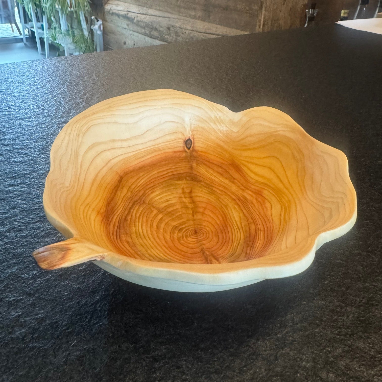 Schale • Zypresse, ø 19 cm, Höhe 6 cm