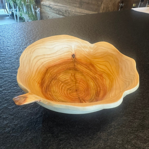 Schale • Zypresse, ø 19 cm, Höhe 6 cm