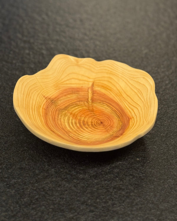Schale • Zypresse, ø 17,5 cm, Höhe 4,5 cm