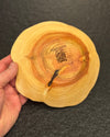 Schale • Zypresse, ø 17,5 cm, Höhe 4,5 cm