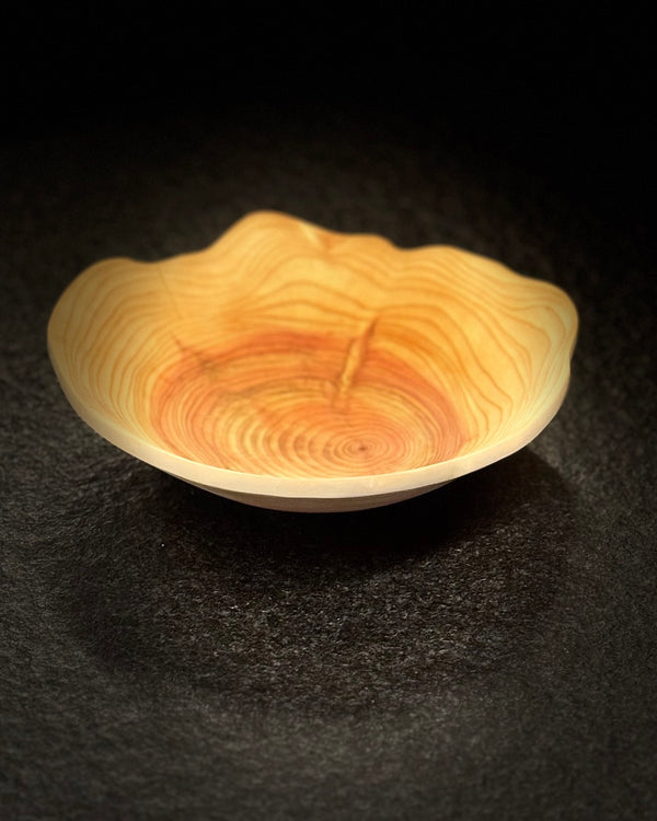 Schale • Zypresse, ø 17,5 cm, Höhe 4,5 cm