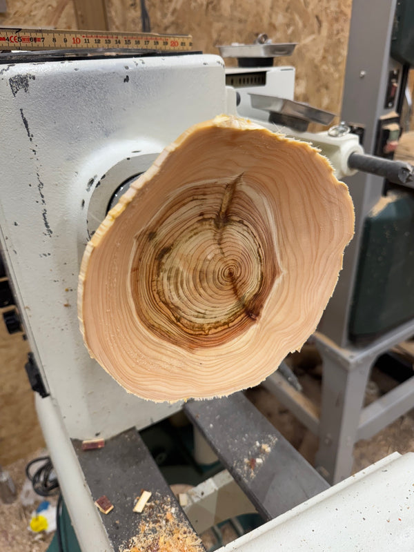 Schale • Zypresse, ø 17,5 cm, Höhe 4,5 cm