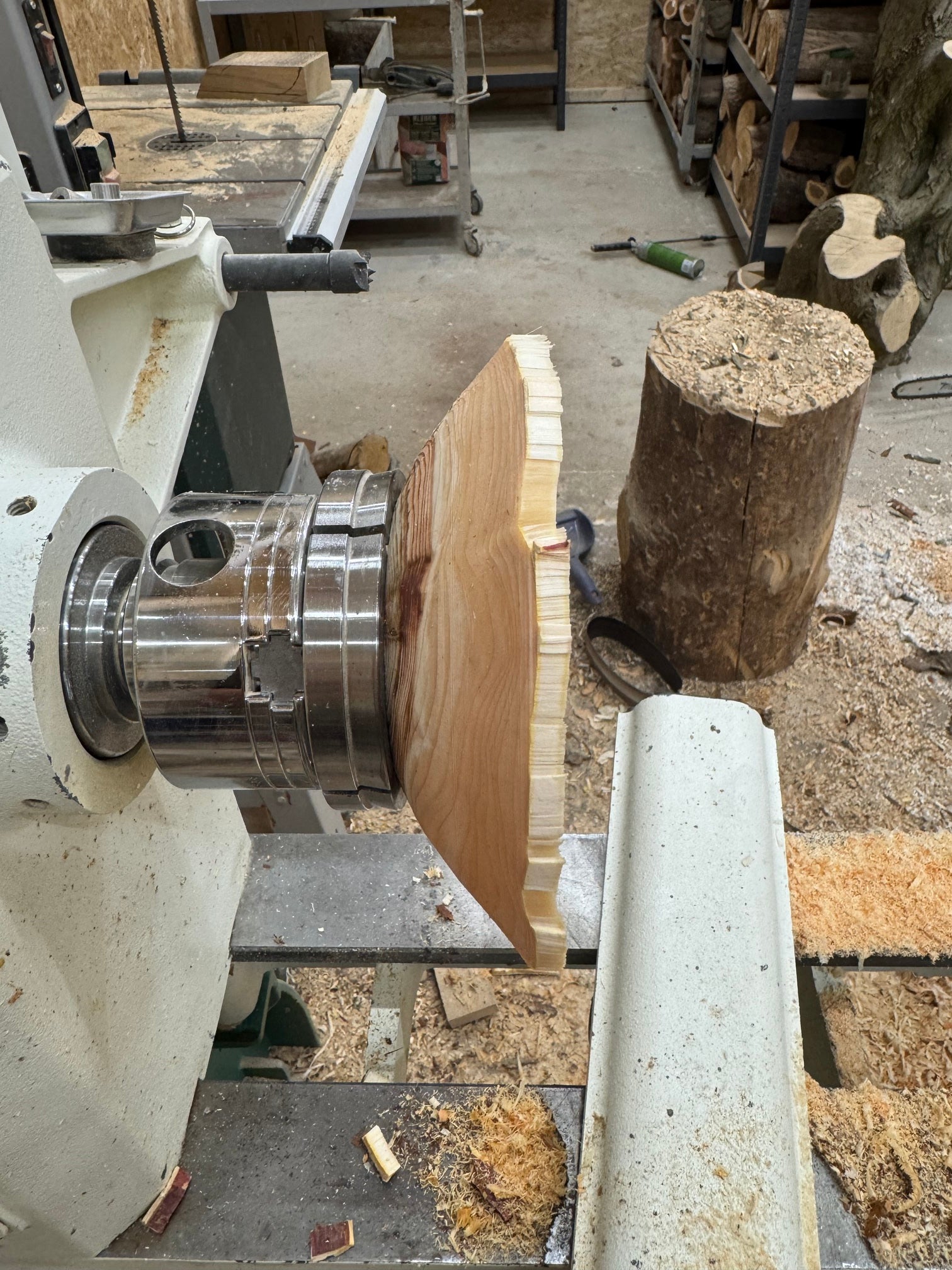 Schale • Zypresse, ø 17,5 cm, Höhe 4,5 cm