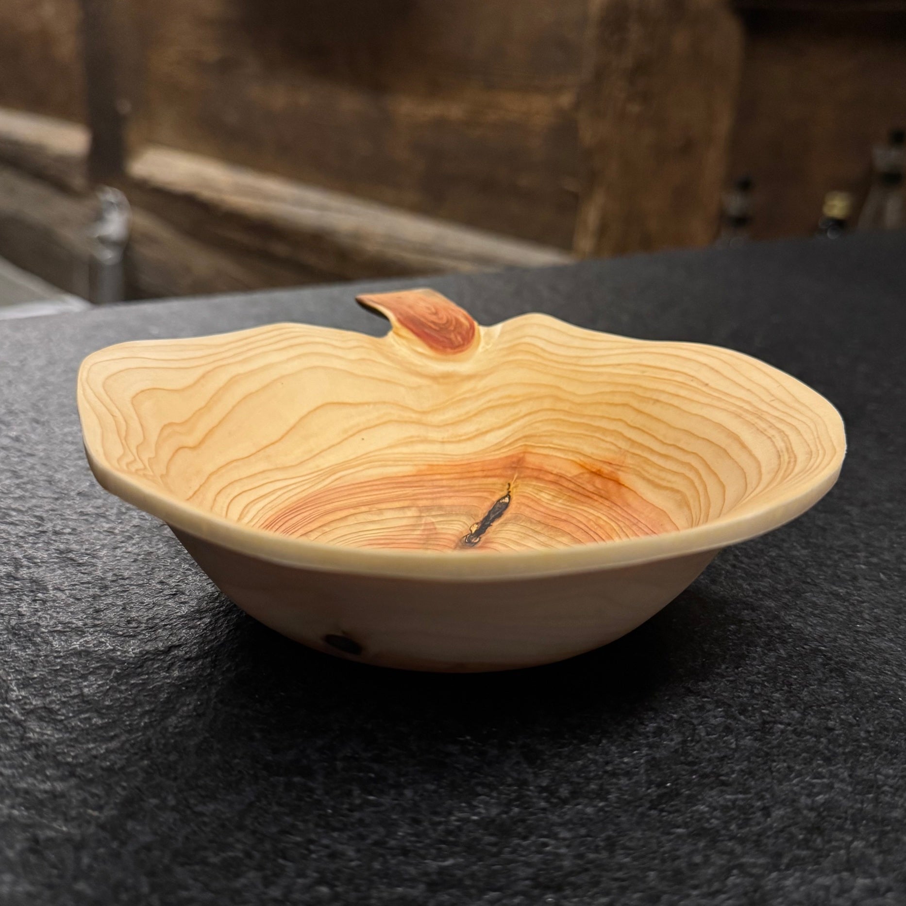 Schale • Zypresse, ø 19 cm, Höhe 5 cm