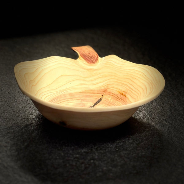Schale • Zypresse, ø 19 cm, Höhe 5 cm