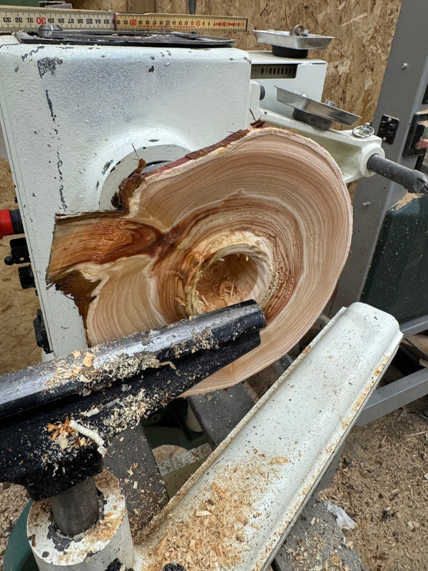 Schale • Zypresse, ø 19 cm, Höhe 5 cm