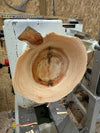 Schale • Zypresse, ø 19 cm, Höhe 5 cm