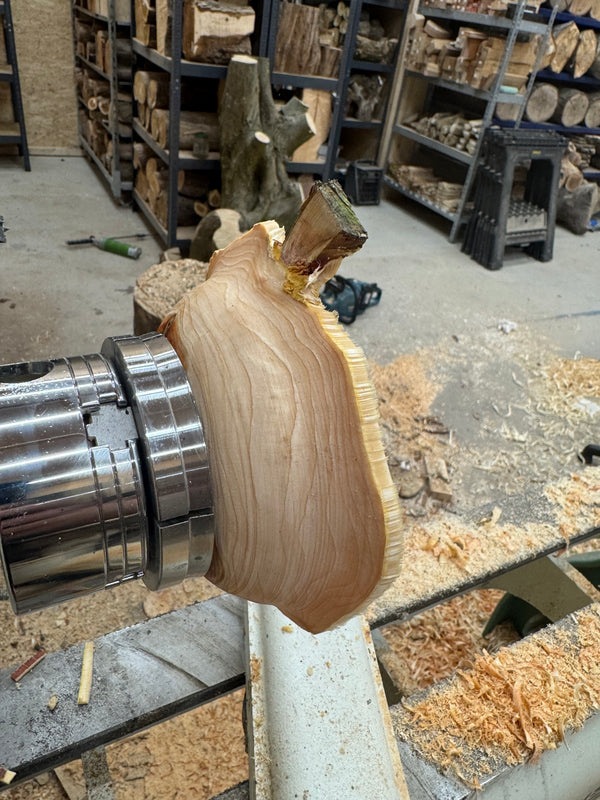 Schale • Zypresse, ø 19 cm, Höhe 5 cm