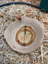 Schale • Zypresse, ø 19 cm, Höhe 5 cm