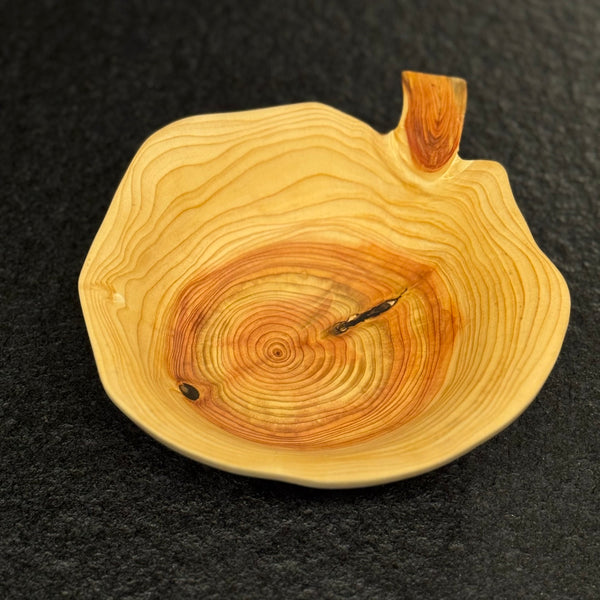 Schale • Zypresse, ø 19 cm, Höhe 5 cm